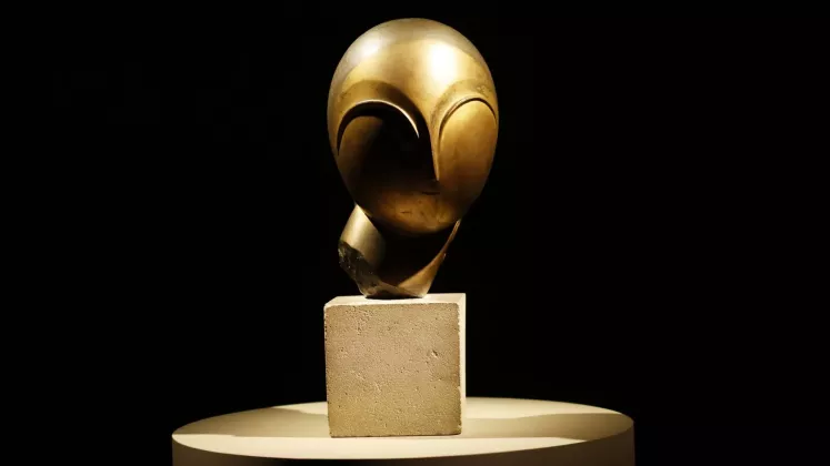 danaida brancusi licitatie record